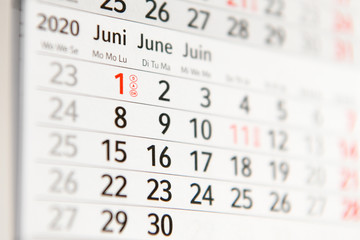 Calendar planner for the month June 2020