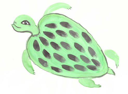 Drawing with watercolors: Big green turtle.