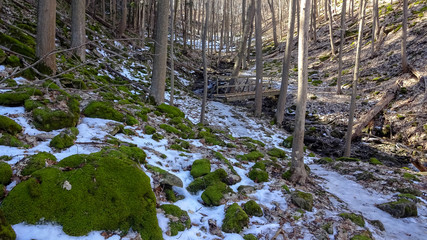 Hamilton is a beautiful Canadian city with forest and waterfalls