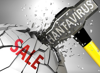 Sale and hantavirus, symbolized by virus destroying word Sale to picture that hantavirus affects Sale and leads to crisis and  recession, 3d illustration