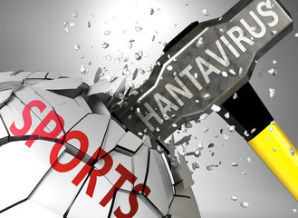 Sports and hantavirus, symbolized by virus destroying word Sports to picture that hantavirus affects Sports and leads to crisis and  recession, 3d illustration