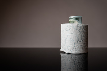 White roll of toilet paper with dollar banknot inside stands on the black table