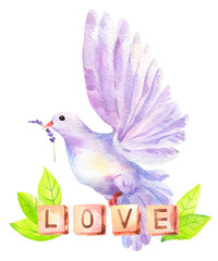Watercolor violet dove bird flying with lavender flower in beak. Inscription Love letters and green leaves isolated on white. Hand painted wedding clipart. Hope, peace, romantic freedom pigeon symbol
