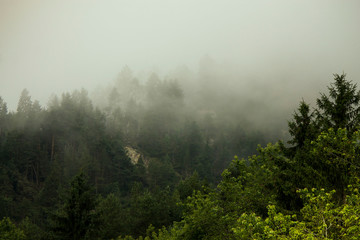 fog on mountain 
