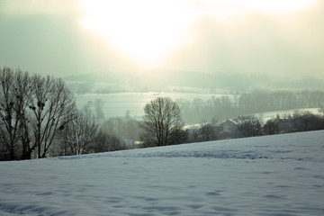 View of some houses covered by snow, in february 2015. This is a place in nature, in the french Alps. There's trees (hardwood) and snowy fields. It's seems quiet, silent and peaceful. 