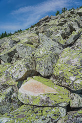 Alpine meadows Taganay