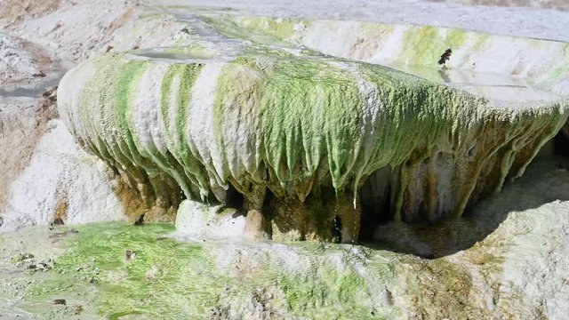 Elevated view photograph of geothermal activity produced thermal spring waters in Egerszalok, Hungary, that sit within colorful textured, terraced limestone formations lined with travertine