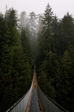 Suspended