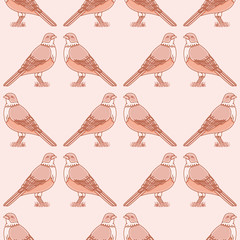 Obraz premium Rufous Bellied Thrush vector repeat pattern. Kawaii bird with orange belly seamless illustration background.