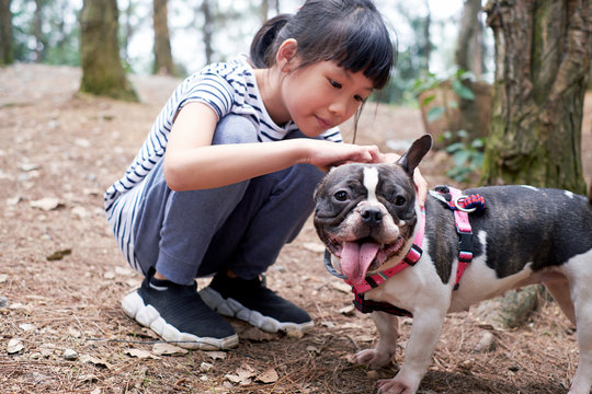 Asian children and pet dogs have fun. In the woods outdoors