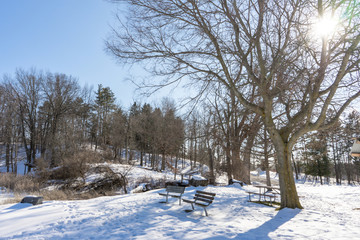 Beautiful winter nature snow with trees. Winter walkway covered with snow.