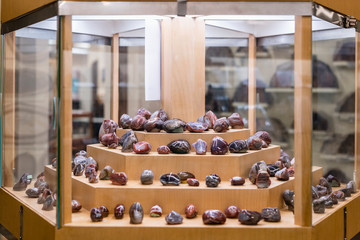 Geology display of polished rocks in natural history museum