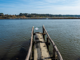 Obraz premium Embarcadero de madera en un río solitario