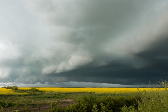 Stormy Cloud