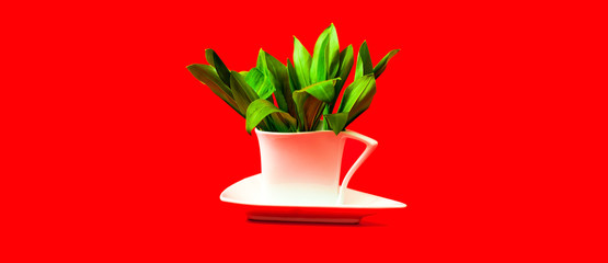 White ceramic cup with ecological plants on red background. Zero waste concept. Close-up