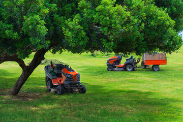 Lawn mower machines on green field. Summer garden ritual - obrazy, fototapety, plakaty