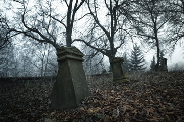 Fototapeta na wymiar Decayed graves at a foggy day