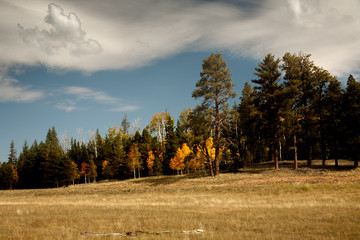 Prairies at the Grand Canyon north rim