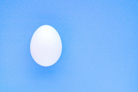 Egg isolated on a blue background close-up.