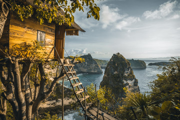 cozy tree house with panorama view of tropical coastline