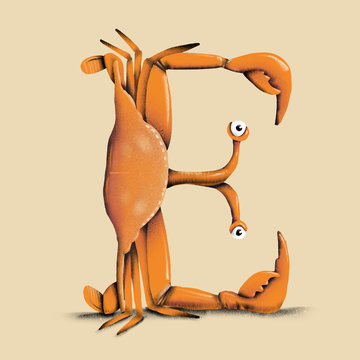 Crab - E