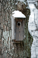 birdhouse on treefootprints in snow, sweden, stockholm, nacka