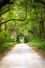 Obraz premium Florida Country Roads