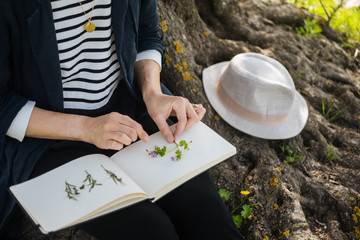 Woman making herbarium near tree
