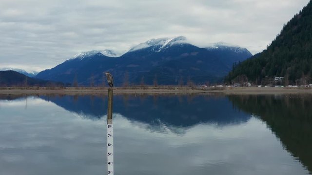 Woman standing on an old wooden water aerodrome pier, enjoying the view of Harrison Lake while waiting for the arrival of a hydroplane in Harrison Hot Springs, British Columbia, Canada