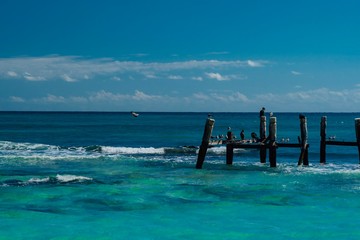 Tulum beach in Mexico surrounded by Mayan temples