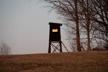Hunting tower in wild forest. Wooden Hunter Hide High watch post tower. Hunter's observation point...