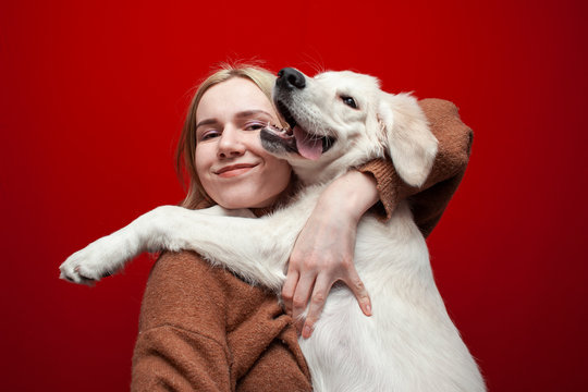 Happy Cheerful Beautiful Girl Holding A Dog On A Red Background, A Woman Hugs A Golden Retriever Puppy And Smiles, People With Pets