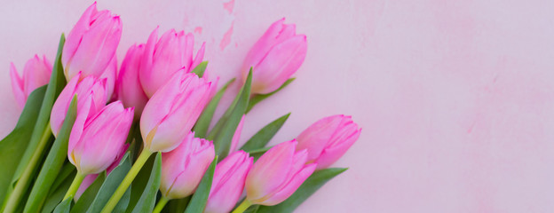 Pink blossoming fresh tulips bunch holiday background, selective focus, copyspace, banner