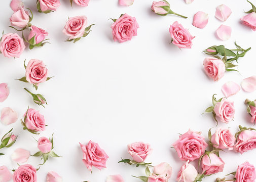 Pale Pink Rose Background Images – Browse 29,942 Stock Photos, Vectors, and  Video | Adobe Stock