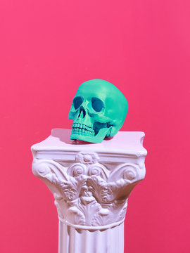 Skull on a pink background