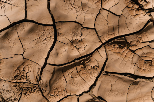 Cracked ground from drought.