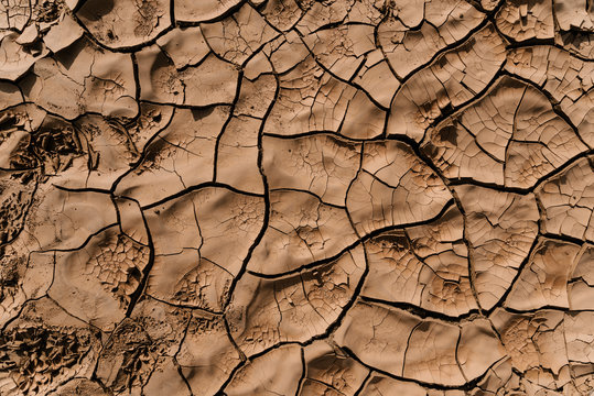 Cracked ground from drought.