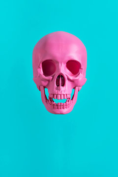 Pink Skull