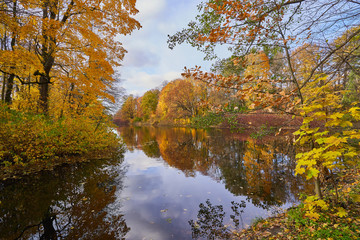 sunny autumn day in the city park