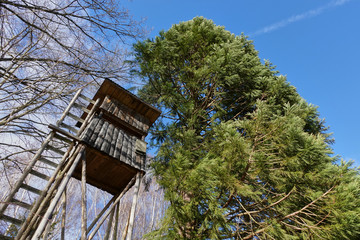 Jagdeinrichtung vor Baum im Sturm