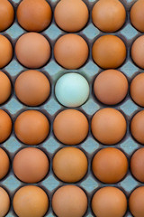 Group of organic free range chicken eggs in the basket at nature village farmland. Fresh eggs for sale at a market. Fresh Chicken Rooster Eggs on at Local Farmer Market.