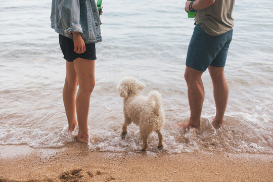 Young couple spending time at the beach