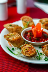 Veg Spring Roll