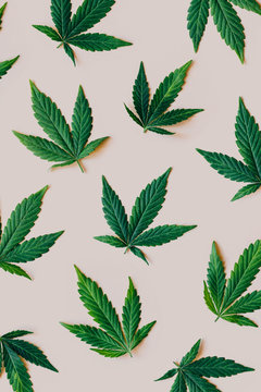 Cannabis pattern