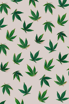 Cannabis pattern