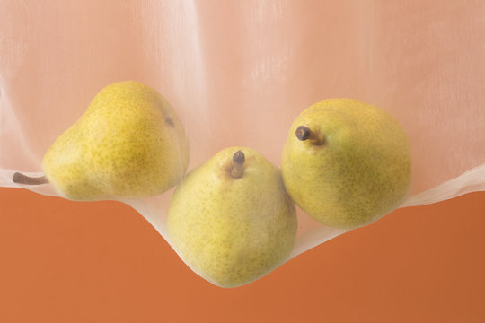 Fruit in Reusable Transparent Sopping Bag