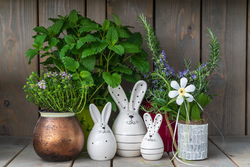 Composition of aromatic herbs and spices with Easter decorations on a wooden background.