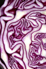 Sliced Red Cabbage Close Up on White Background