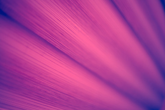 Abstract violet background