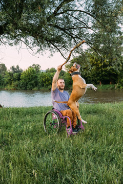Young man in a wheelchair playing with his dog in the nature